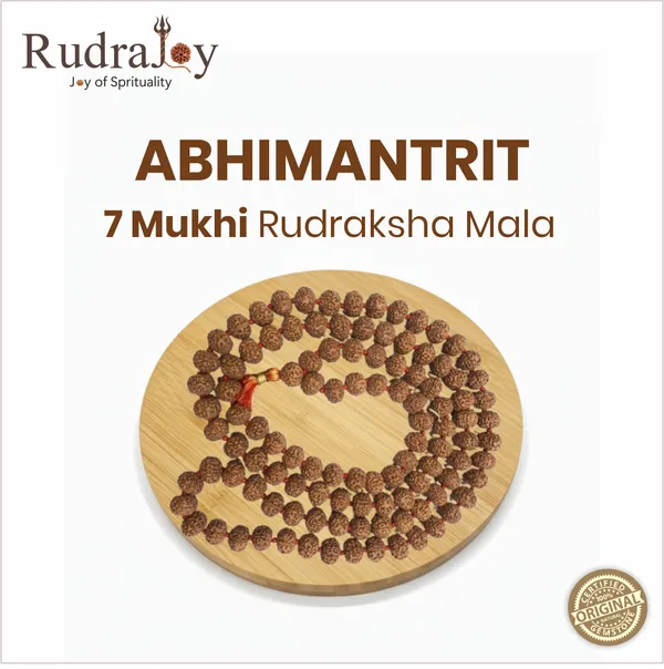 Original_7_Mukhi_Rudraksha_Mala_|_Abhimantrit