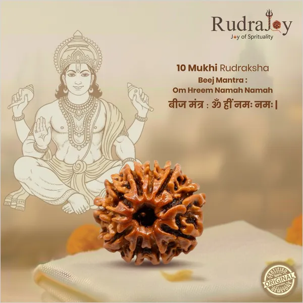 Original_10_Mukhi_Rudraksha_|_Nepali_Abhimantrit