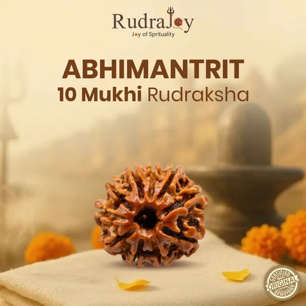 Original_10_Mukhi_Rudraksha_|_Nepali_Abhimantrit