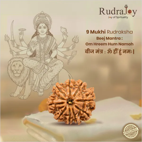 Original_9_Mukhi_Rudraksha_|_Nepali_Abhimantrit