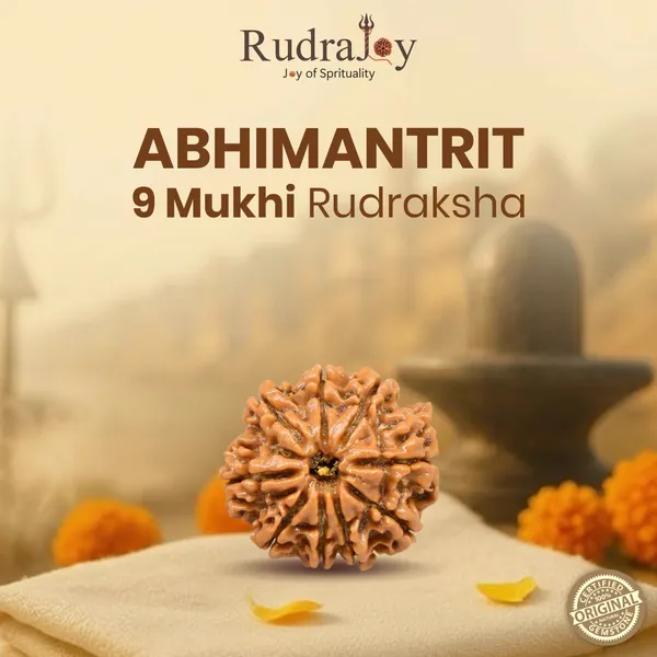 Original_9_Mukhi_Rudraksha_|_Nepali_Abhimantrit