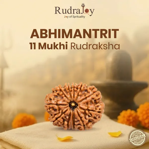 Original_11_Mukhi_Rudraksha_|_Nepali_Abhimantrit
