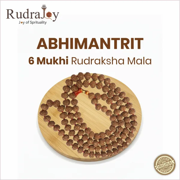 Original_6_Mukhi_Rudraksha_Mala_|_Abhimantrit