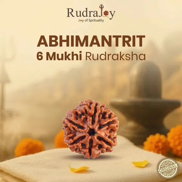 Original_6_Mukhi_Rudraksha_|_Nepali_Abhimantrit