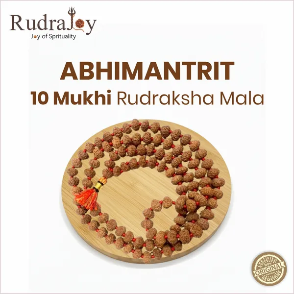 Original_10_Mukhi_Rudraksha_Mala_|_Abhimantrit