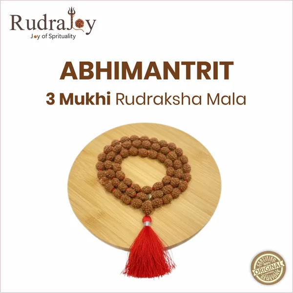 Original_3_Mukhi_Rudraksha_Mala_|_Abhimantrit