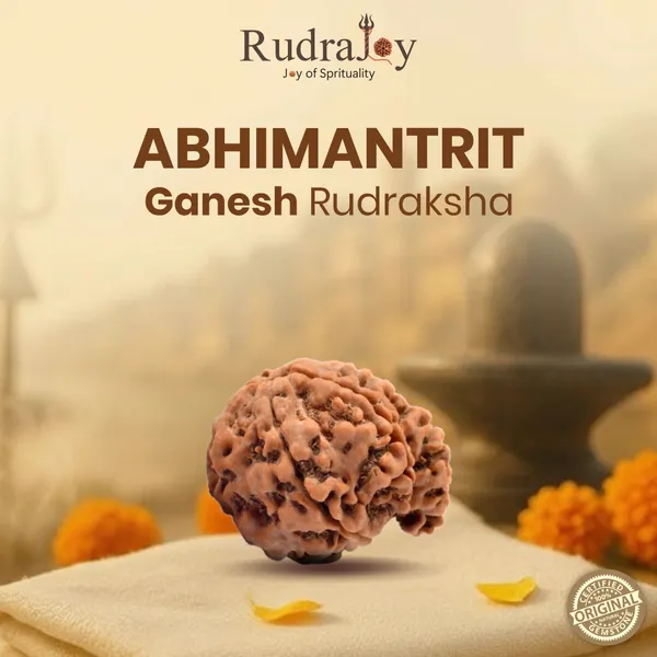 Original_Ganesh_Rudraksha_|_Nepali_Abhimantrit