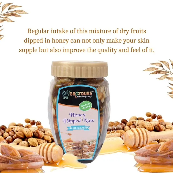 Grotoure_Honey_Dipped_Dry_Fruits_And_Nuts,_Roasted_And_Crunchy_With_100%_Immunity_&_Energy_Booster_-450_Grams