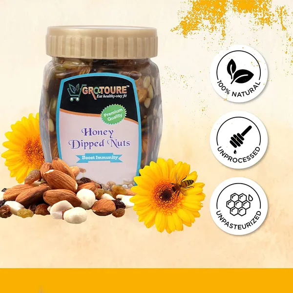 Grotoure_Honey_Dipped_Dry_Fruits_And_Nuts,_Roasted_And_Crunchy_With_100%_Immunity_&_Energy_Booster_-450_Grams