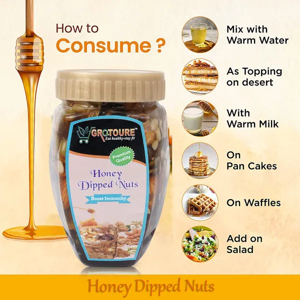 Grotoure_Honey_Dipped_Dry_Fruits_And_Nuts,_Roasted_And_Crunchy_With_100%_Immunity_&_Energy_Booster_-450_Grams