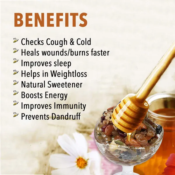 Grotoure_Honey_Dipped_Dry_Fruits_And_Nuts,_Roasted_And_Crunchy_With_100%_Immunity_&_Energy_Booster_-450_Grams