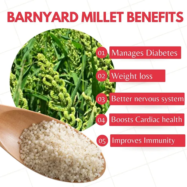 Unpolished_And_Organic_(Barnyard_Millets_920Gm_Pack_Of_5,_Gross_Wt_4600Gm)_Organically_Grown_From_Karnataka_New_Tech_Rock-Hard_Vacuumed_Pack