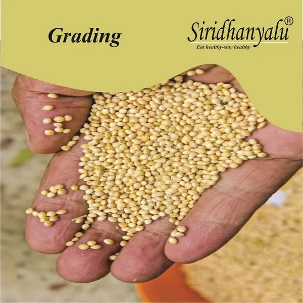 Millets_Rice_Organic_Unpolished_Millet_Combo_Pack_4_Kg_(Gwt.)_[Kodo,_Little,_Foxtail,_Browntop,_Barnyard_Each_750_Grm]_Organically_Grown_From_Karnataka_New_Tech_Rock-Hard_Vacuumed_Pack