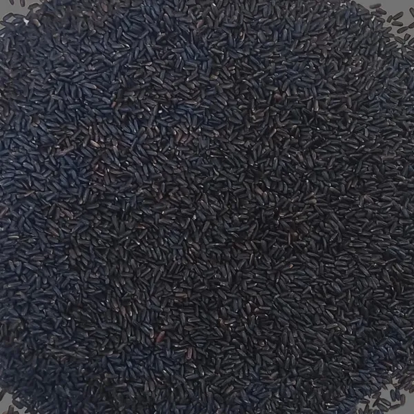Black_Rice_|_Karuppu_Kavuni_Rice_|_Low_Glycemic_Index_Forbidden_Black_Rice,_Offering_Both_Dark_Rice_Enthusiasts_And_Health-Conscious_Consumers_At_A_Competitive_Kale_Chawal_Price._(Pack_Of,_20)