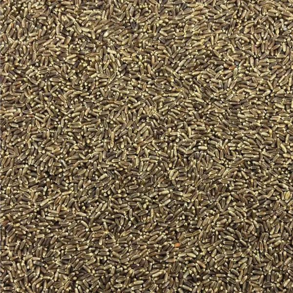 Organic_Black_Wheat_Whole_Grain_(Unpolished):_A_Gluten-Free,_Non-Gmo,_And_High-Fiber_Unpolished_Alternative,_The_Nutrient-Rich_Goodness_Of_Aestivum:_Embracing_The_Health_Benefits_Of_Black_Wheat_(Gwt_1Kg)