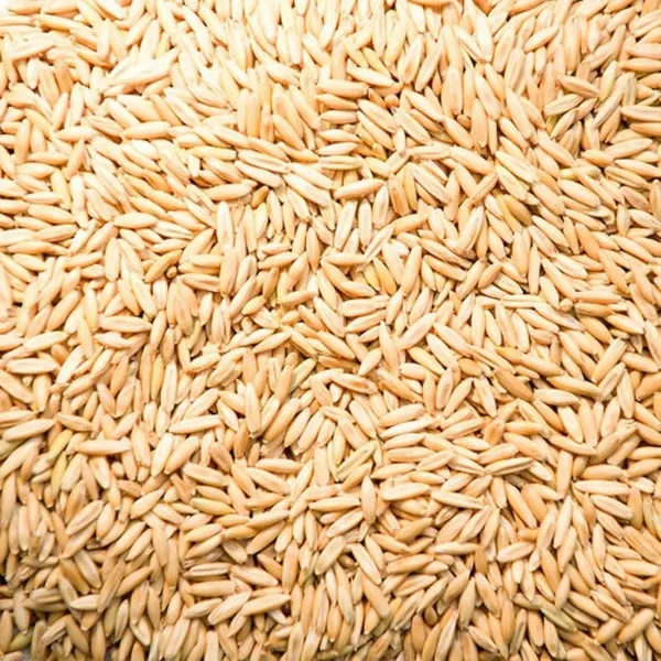 Oats_Whole_Grain_450Gm_Hygienic_Packed_|_Oatmeal:_High_Protein_And_Overnight_Steel_Oats_Groats_|_High_In_Protein_&_Fibre_|_Helps_Manage_Weight_&_Reduce_Cholesterol_|_Healthy_Oats_|_Diabetic_Friendly_|_100%_Natural.