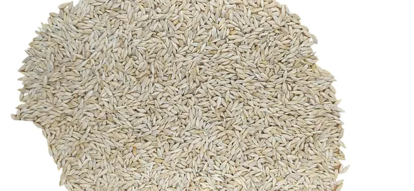 Black_Wheat_Flour,_A_Gluten-Free,_Non-Gmo,_High-Fiber,_And_Low-Carb_Option._Our_Nutritional_And_Organic_Varieties_Of_Kala_Gehun_Flour,_Perfect_For_Culinary_Enthusiasts_Seeking_Health