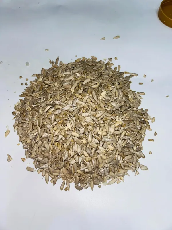 Healthy_Raw_Seeds_Combo_For_Eating_Pack_Of_6_Each_150_Gram,_Flax_Seed,_Pumpkin_Seeds,_Sunflower_Seeds,_Sesame_Seeds,_Chia_Seeds,_Watermelon_Seeds_(900_G,_Pack_Of_6),_Gwt:._1Kg
