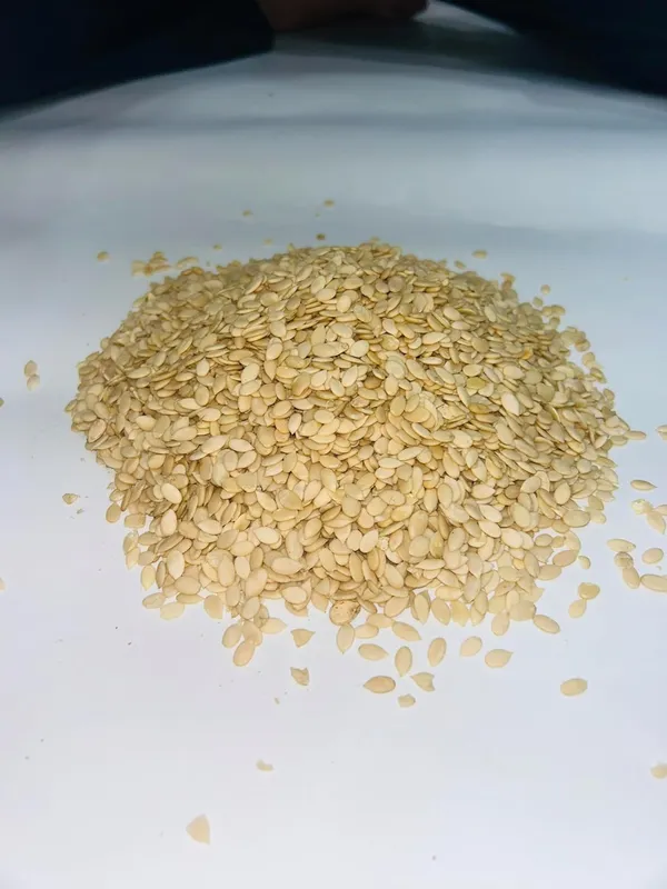 Healthy_Raw_Seeds_Combo_For_Eating_Pack_Of_6_Each_150_Gram,_Flax_Seed,_Pumpkin_Seeds,_Sunflower_Seeds,_Sesame_Seeds,_Chia_Seeds,_Watermelon_Seeds_(900_G,_Pack_Of_6),_Gwt:._1Kg