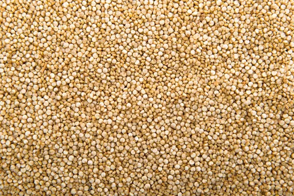 Organic_Quinoa_(_Unpolished_Quick_Cook_Gwt._4Kg_)_Is_A_Nutrient-Dense,_Gluten-Free_Pseudo-Cereal_Packed_With_Complete_Protein,_Fiber,_Vitamins,_And_Minerals_That_Aid_Digestion,_Support_Weight_Management,_And_Help_Control_Blood_Sugar_LevelsAnd_It_Cooks_In_Just_15_Minutes._New_Tech_Rock-Hard_Vacuumed_Pack