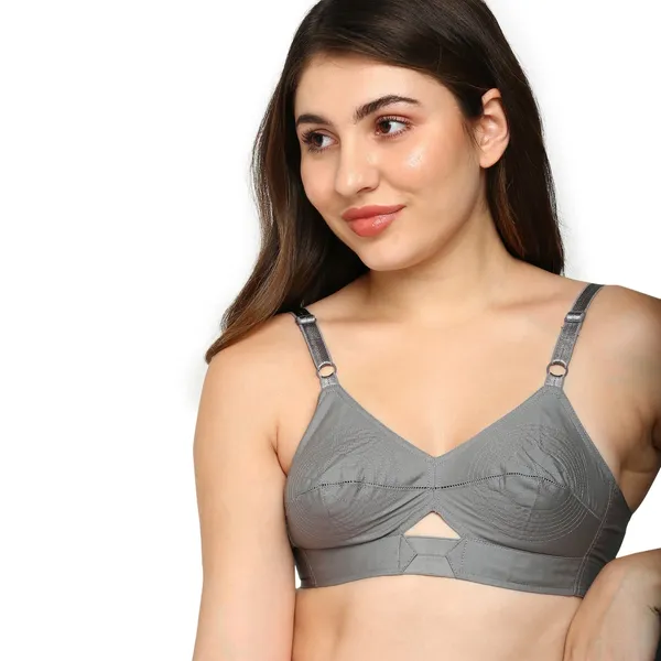 Winsome_Women_Full_Coverage_Non_Padded_Bra_(Gray)