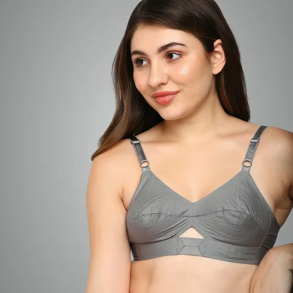 Winsome_Women_Full_Coverage_Non_Padded_Bra_(Gray)