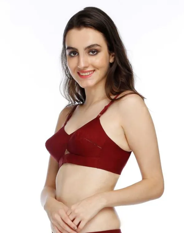 Multicolor_Cotton_Regular_Bra_For_Women_(Pack_of_2_)