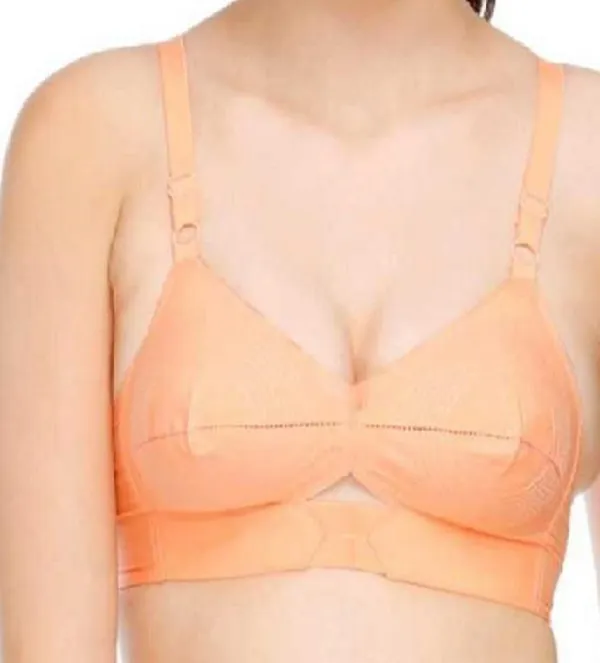 Multicolor_Cotton_Regular_Bra_For_Women_(Pack_of_2_)
