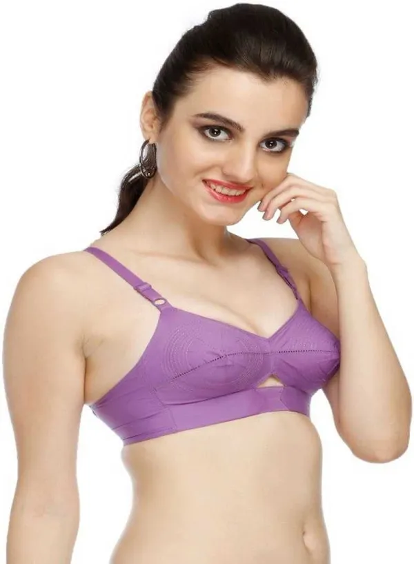 Multicolor_Cotton_Regular_Bra_For_Women_(Pack_of_2_)