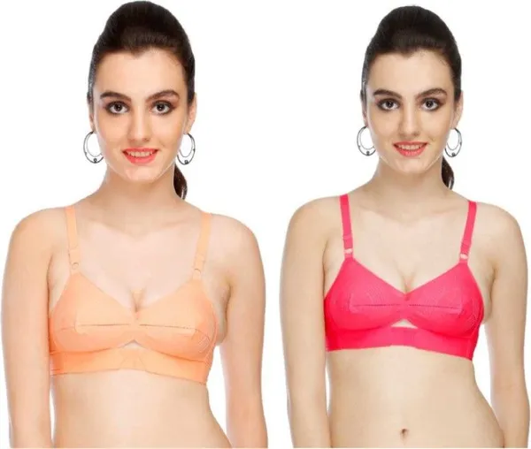 Multicolor_Cotton_Regular_Bra_For_Women_(Pack_of_2_)