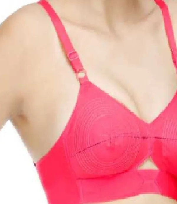 Multicolor_Cotton_Regular_Bra_For_Women_(Pack_of_2_)