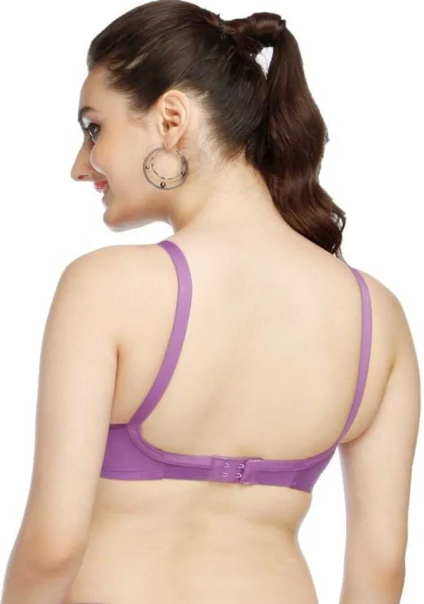 Beige_And_Purple_Cotton_Regular_Bra_For_Women_(Pack_of_2_)