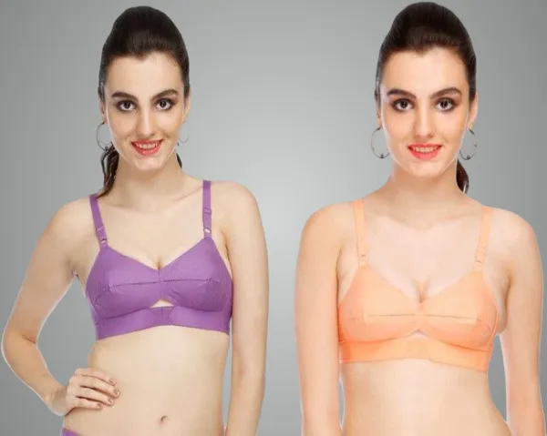 Beige_And_Purple_Cotton_Regular_Bra_For_Women_(Pack_of_2_)