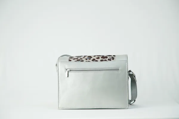 Arctic_Jaunt_Silver_Leather_Premium_&_Elegant_Handbag_With_Flap_For_Women