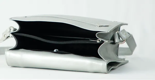 Arctic_Jaunt_Silver_Leather_Premium_&_Elegant_Handbag_With_Flap_For_Women