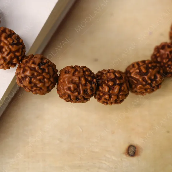 Brown_Premium_&_Elegant_Rudraksha_Bracelet_For_Unisex