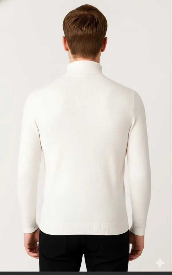 White_Wool_Blend_Solid_High_Neck_Casual_Sweater_For_Men
