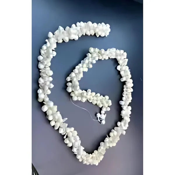 White_Plastic_Premium_&_Elegant_Fresh_Flower_Gajra_Hair_Garland_For_Women_&_Girls