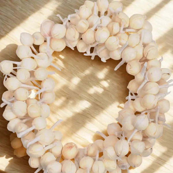 Cream_Plastic_Premium_&_Elegant_Hair_Accessory_For_Women_&_Girls