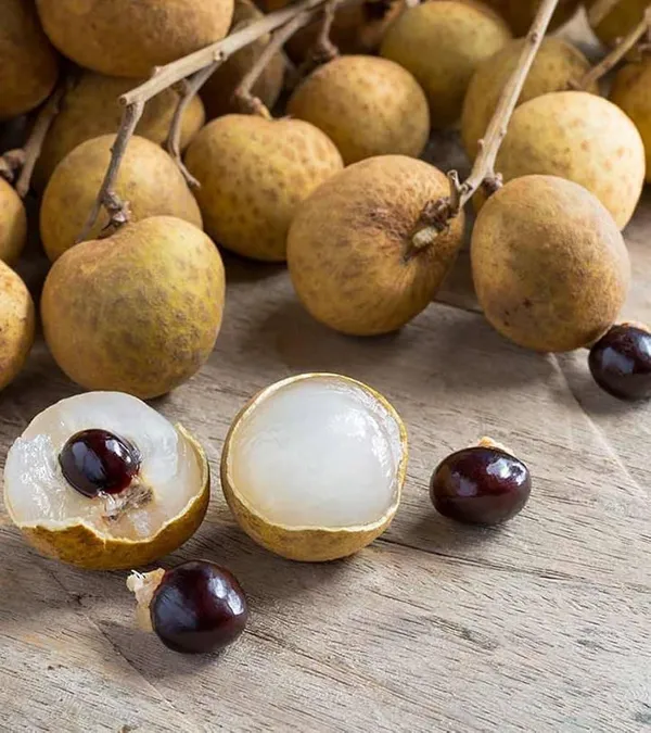 Hybrid_Thai_Baramasi_Longan_Fruit_Plant