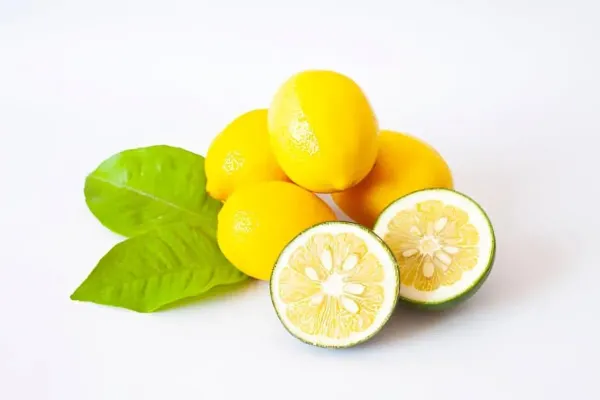 All_Time_Thai_Kagzi_Lemon/_Nimbu_Hybrid_Fruit_Plant
