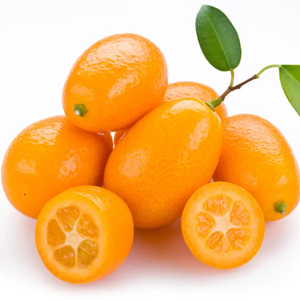 Sweet_Kumquat_Hybrid_Grafted_Plant_Thai_Verity
