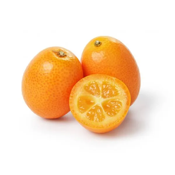 Sweet_Kumquat_Hybrid_Grafted_Plant_Thai_Verity