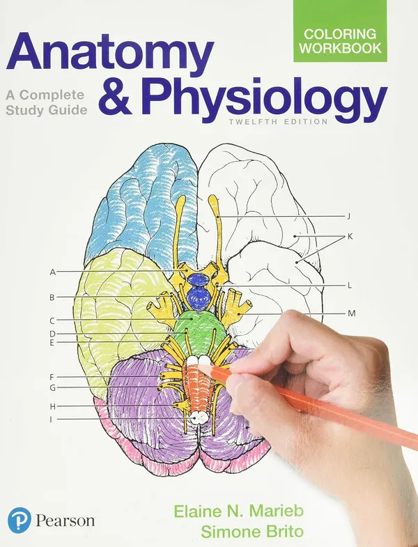 Anatomy_and_Physiology_Coloring_Workbook:_A_Complete_Study_Guide