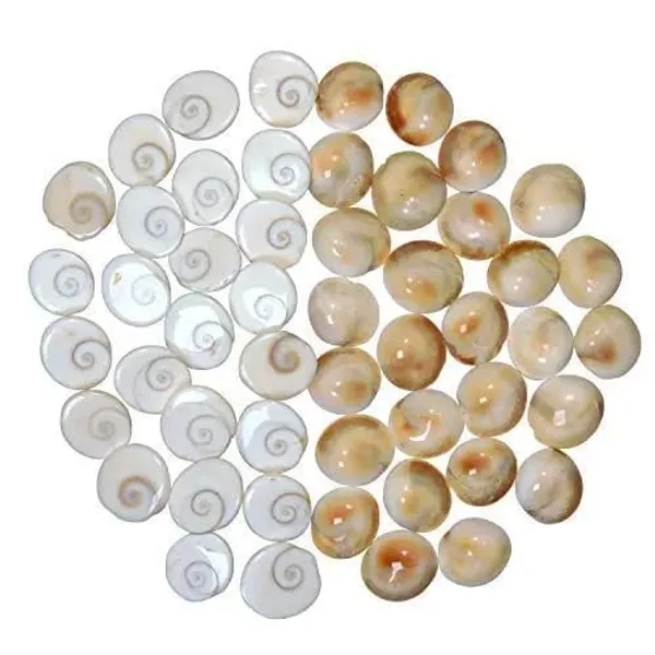 Natural_Gomti_Chakra_for_Pooja_-_Set_of_21_Pieces_|_Authentic_Gomati_Chakra_Shells_for_Lakshmi_Worship_|_Sacred_Yantra_for_Temple_Mandir_Decoration