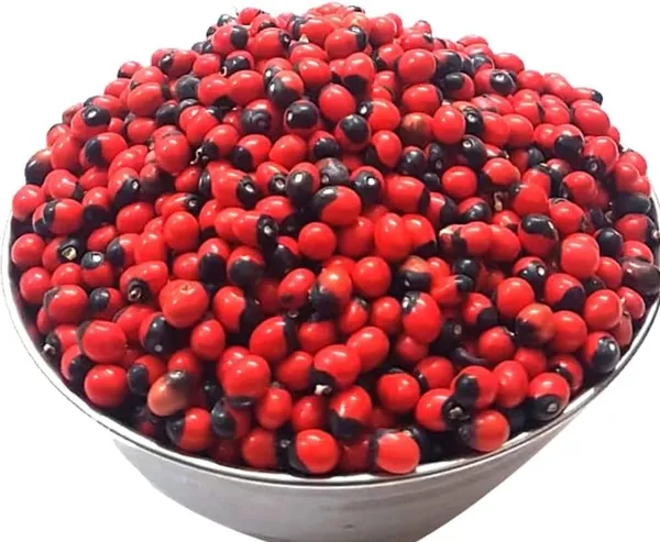 DharmikOnline_Natural_Lal_Rakt_Gunja_Seeds_for_Pooja_-_50_Grams_|_Red_Chirmi_Beads_Gunja_Beej_for_Lakshmi_Worship_|_Abrus_Precatorius_Seeds_for_Temple_Mandir_Decoration_(50_gm)