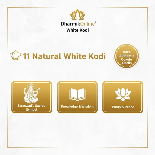 Safed_Kodi_White_Shells_For_Goddess_Lakshmi_Worship
