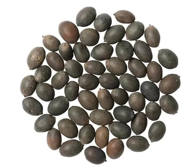 Natural_Brown_Kamal_Gatta_Lotus_Seeds_For_Lakshmi_Worship_-_50_Grams