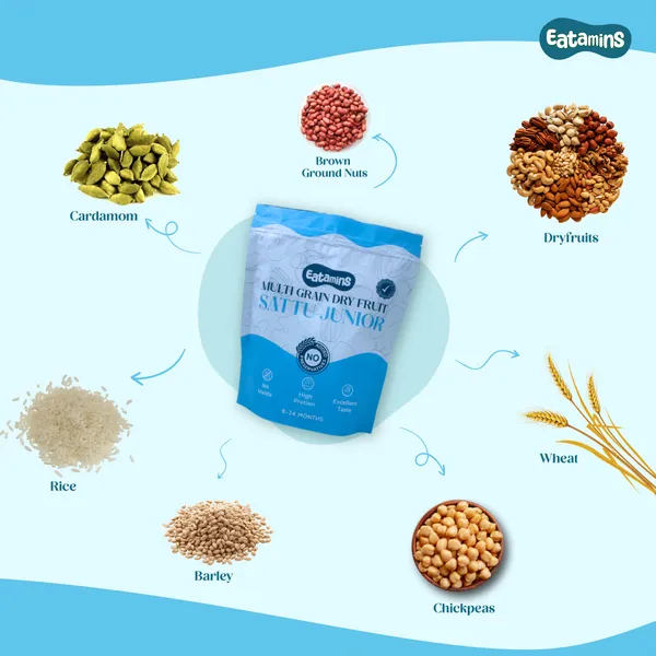 Sattu_With_Dry_Fruits_For_8-24_Months