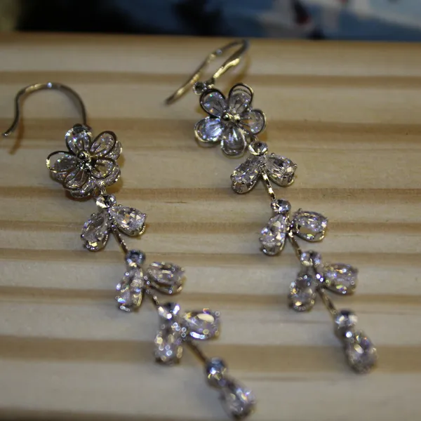 Silver_Premium_Stainless_Steel_Western_Earring_For_Women